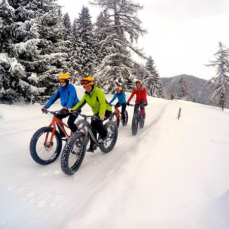 Bio-Holzhaus Und Landhaus Heimat Ramsau am Dachstein Buitenkant foto