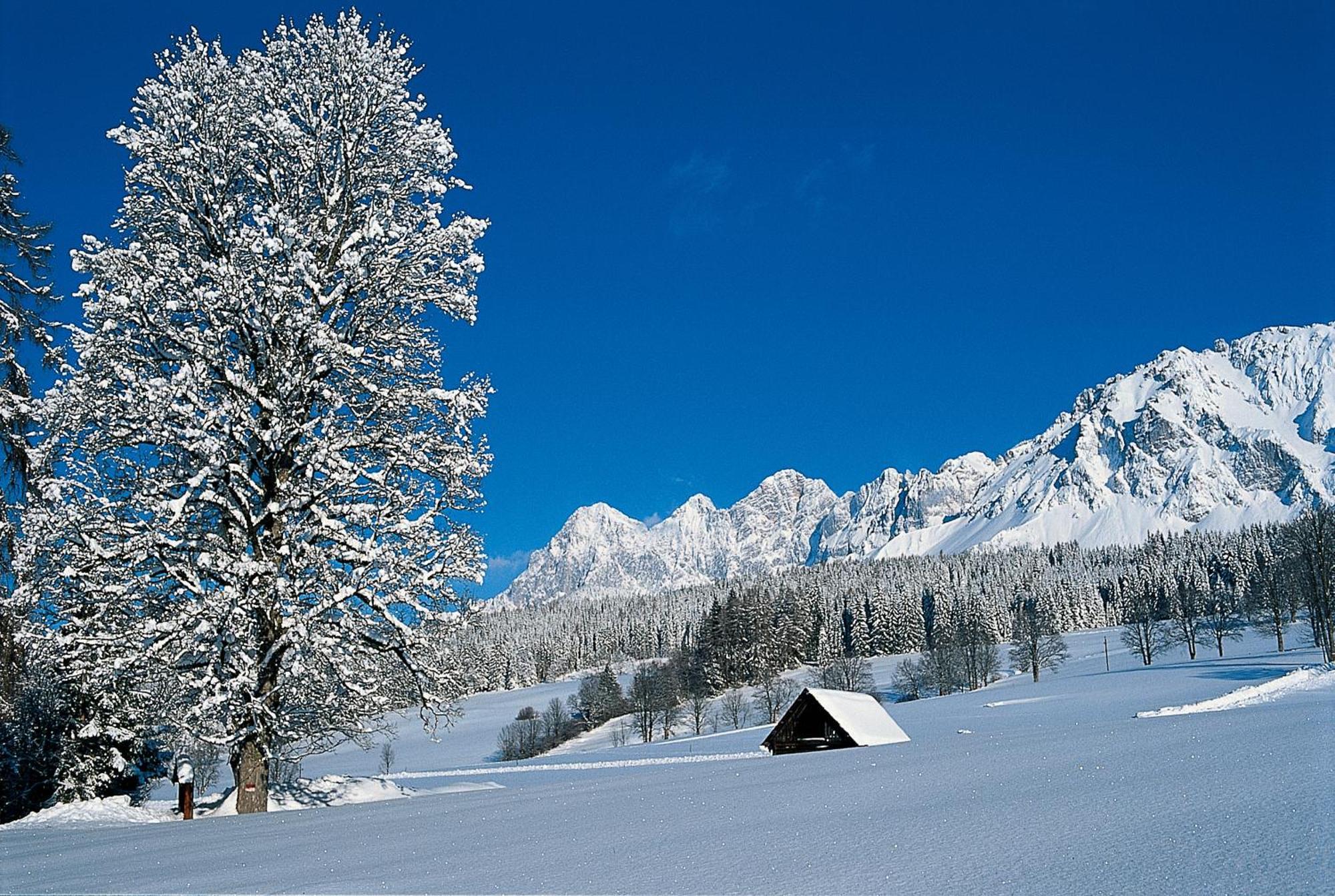 Bio-Holzhaus Und Landhaus Heimat Ramsau am Dachstein Buitenkant foto