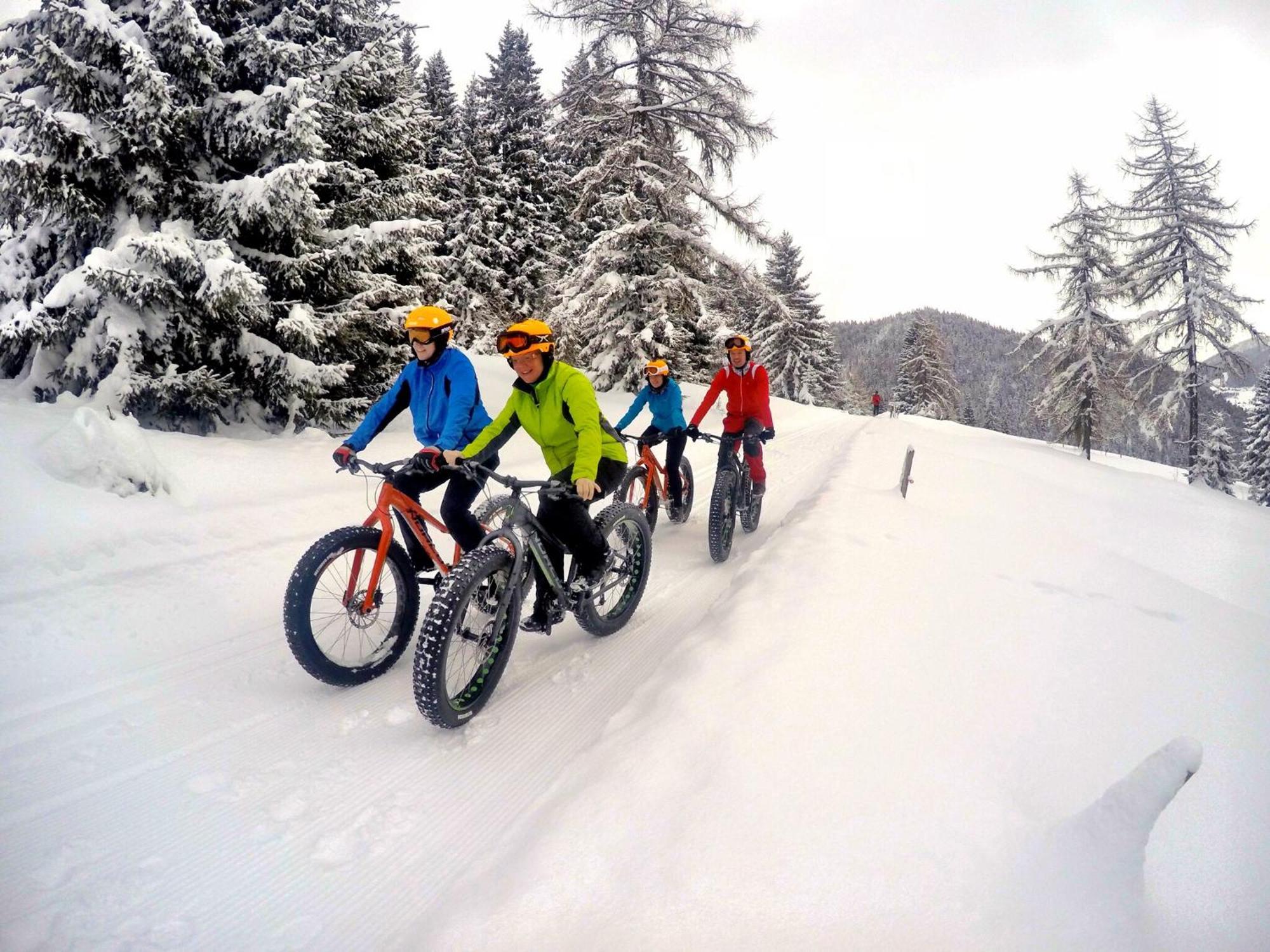 Bio-Holzhaus Und Landhaus Heimat Ramsau am Dachstein Buitenkant foto