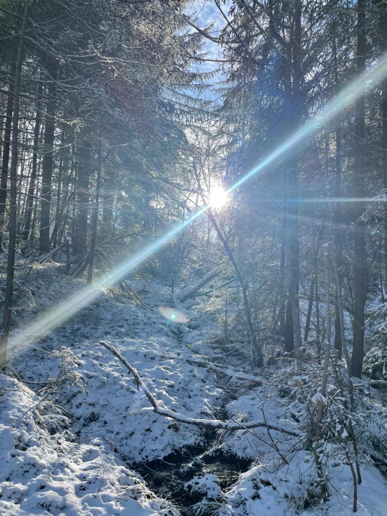 Bio-Holzhaus Und Landhaus Heimat Ramsau am Dachstein Buitenkant foto