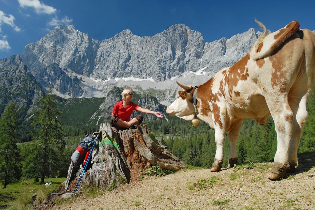 Bio-Holzhaus Und Landhaus Heimat Ramsau am Dachstein Buitenkant foto