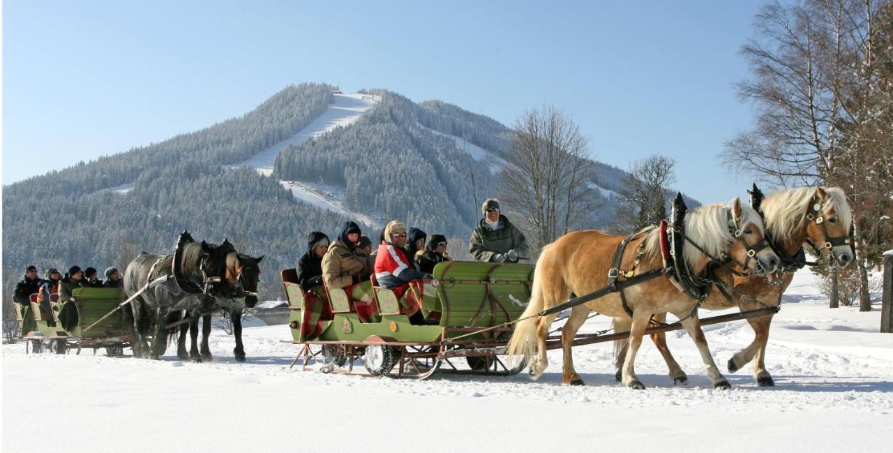 Bio-Holzhaus Und Landhaus Heimat Ramsau am Dachstein Buitenkant foto